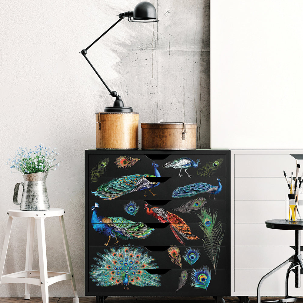 Peacock Dreams