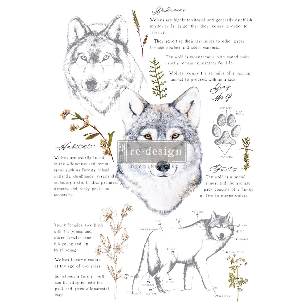GRAY WOLF