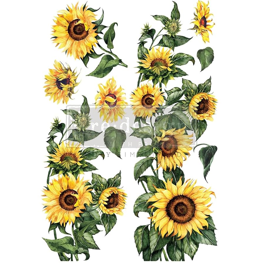 Sunflower Large Transfer