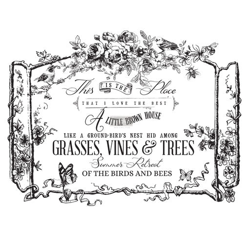 THE BIRDS & THE BEES