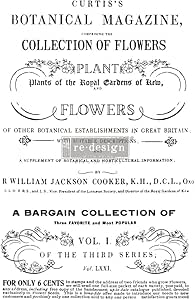 BOTANICAL MAGAZINE