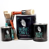 Wise Owl Chalk Synthesis Paint