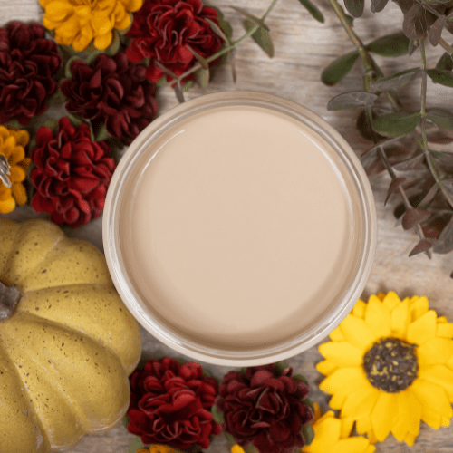 LATTE - Suzanne's Fall Colours - Dixie Belle Mineral Chalk Paint - 473ml