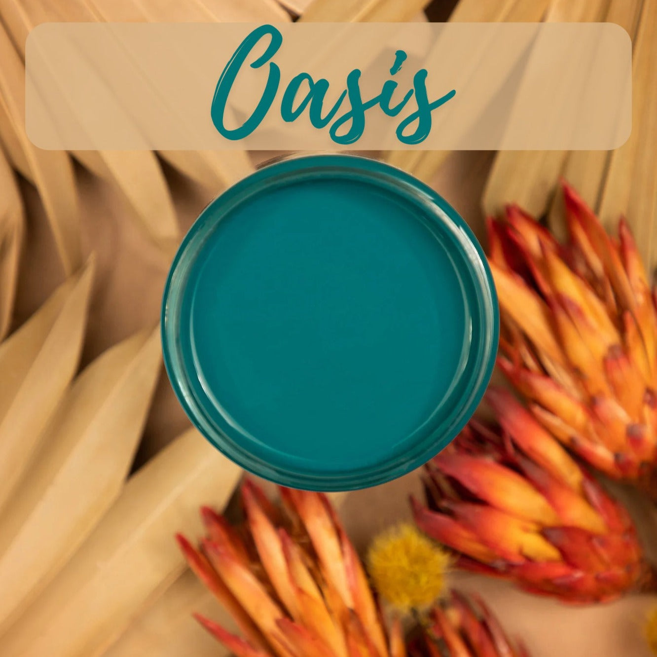 OASIS Silk All-In-One Mineral Paint 473ml Dixie Belle Paint