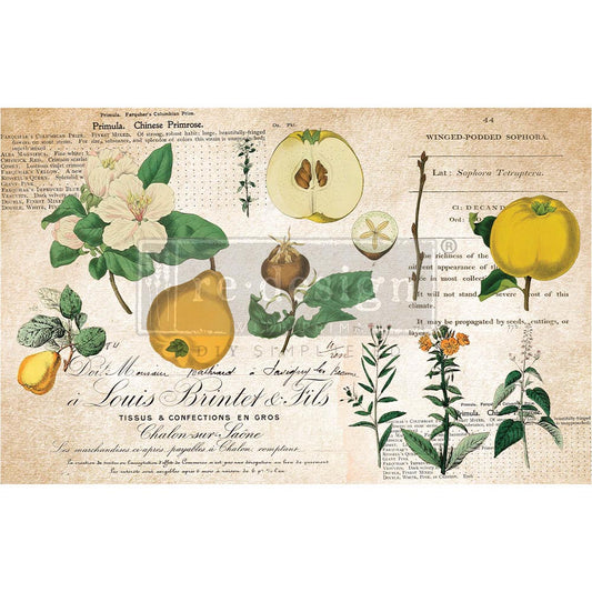 Primrose Decoupage Paper