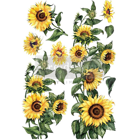 Sunflower Large Transfer
