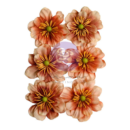 THB FLOWERS- CARAMEL DELIGHT (6 PCS)
