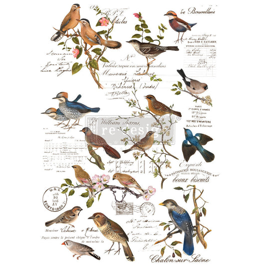 POSTAL BIRDS