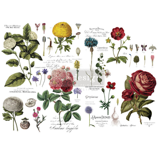 VINTAGE BOTANICAL *TO BE DISCONTINUED*