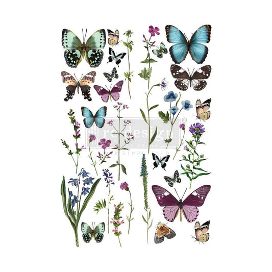 BUTTERFLY OASIS *TO BE DISCONTINUED*